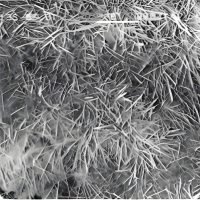 Magnesium chloride oxychloride plate crystals